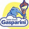 gasparini-images