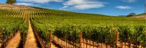 Egos Bodegas